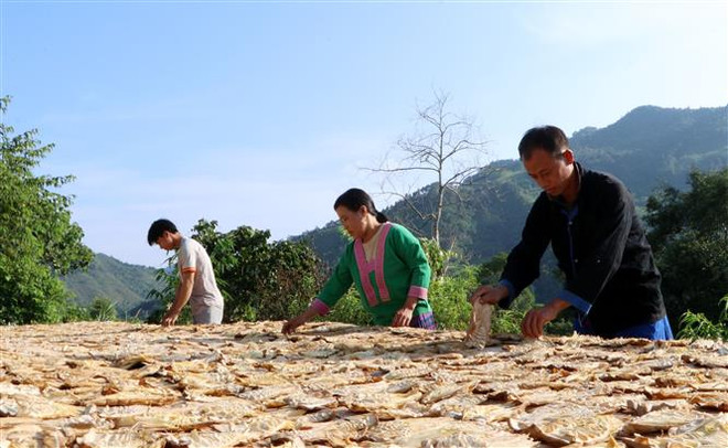 Cảm hóa người dân bằng niềm tin: Không để vùng khó lùi phía sau ảnh 4