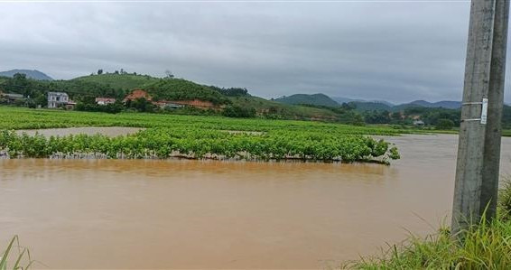 Mưa lớn, lũ quét, sạt lở đất gây nhiều thiệt hại tại nhiều địa phương ảnh 1