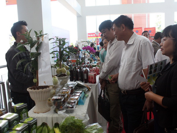 Tìm hướng phát triển nông nghiệp ứng dụng công nghệ cao ảnh 1