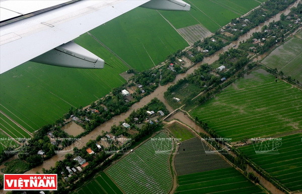 Cần Thơ - "Thủ phủ" miền Tây với gạo trắng nước trong ảnh 10