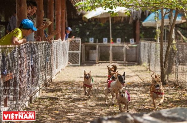 Cần Thơ - "Thủ phủ" miền Tây với gạo trắng nước trong ảnh 13