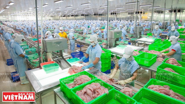 Cần Thơ - "Thủ phủ" miền Tây với gạo trắng nước trong ảnh 15