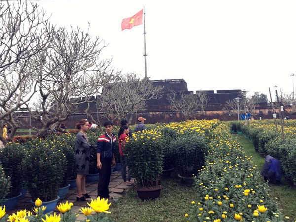 Đìu hiu chợ hoa Tết ở cố đô Huế, người trồng hoa thất bát ảnh 1