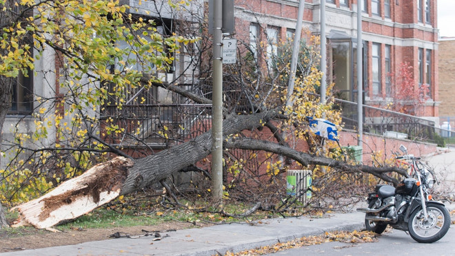 Canada: Bão mạnh gây mất điện trên diện rộng tại Quebec ảnh 1