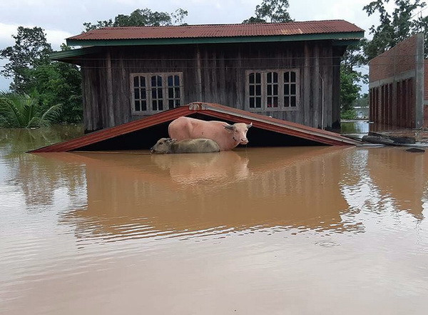 Lào thiệt hại nặng nề về người và của do hậu quả lũ lụt ảnh 1