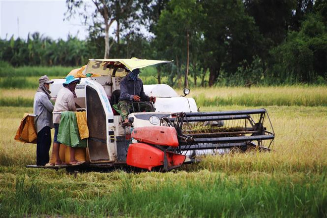 Chiến lược Phát triển Ngành nghề Nông thôn đến năm 2030, tầm nhìn 2045 ảnh 1
