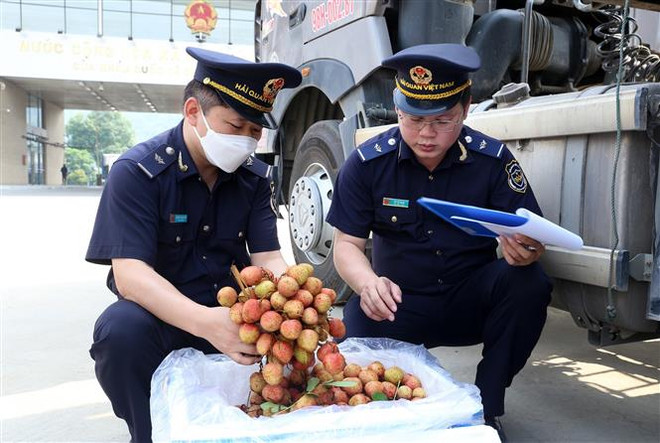 Việt Nam-Trung Quốc: Cơ hội mới trong hợp tác thương mại song phương ảnh 3