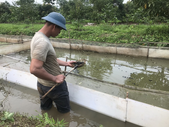 ttxvn_hai duong xam nhap man.jpg