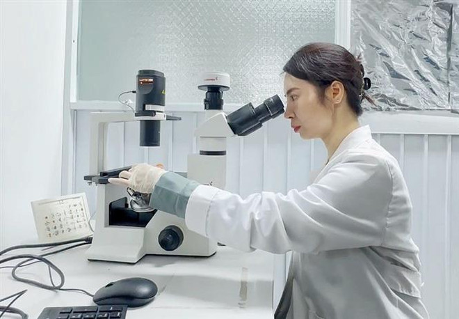 Tìm lời giải cho bài toán về thu hút và giữ chân nhân tài ảnh 2