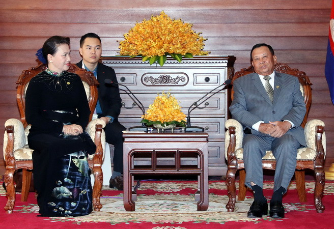 Chủ tịch Quốc hội Việt Nam hội kiến Chủ tịch Thượng viện Campuchia ảnh 1