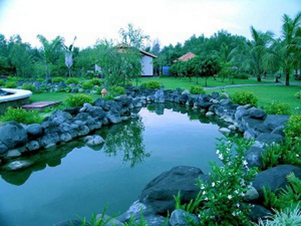 Hai tháng, Cần Thơ đón 209.500 du khách trong và ngoài nước ảnh 1