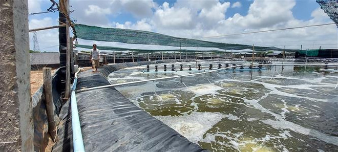 Bến Tre không ngừng đổi mới, nâng cao hiệu quả xúc tiến đầu tư ảnh 1