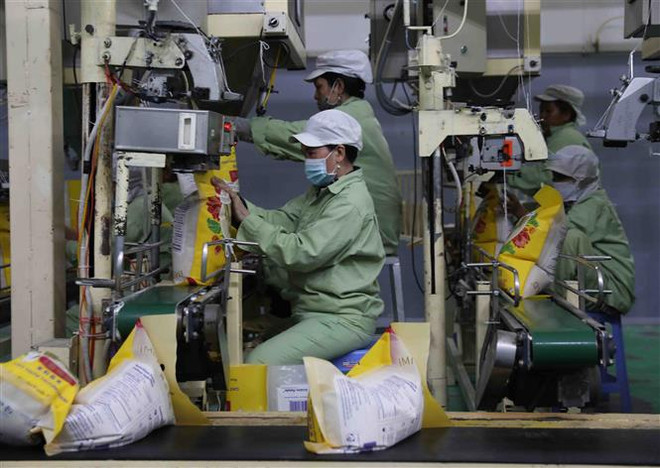 Doanh nghiệp xuất khẩu gạo được hỗ trợ giá trong ngắn hạn ảnh 2