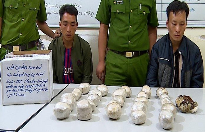 Phát hiện vụ vận chuyển số lượng lớn nhựa thuốc phiện ảnh 1