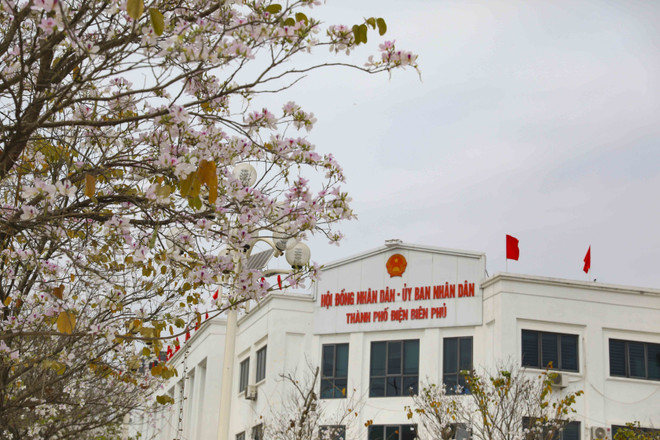 Trung tâm hành chính thành phố Điện Biên Phủ nằm trên phường Him Lam. (Ảnh: Xuân Tư/TTXVN) ttxvn_1203_him lam (4).jpg