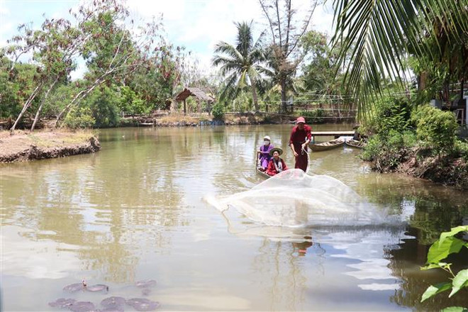 Xây dựng các sản phẩm du lịch mang nét đặc trưng của Xứ dừa Bến Tre ảnh 1