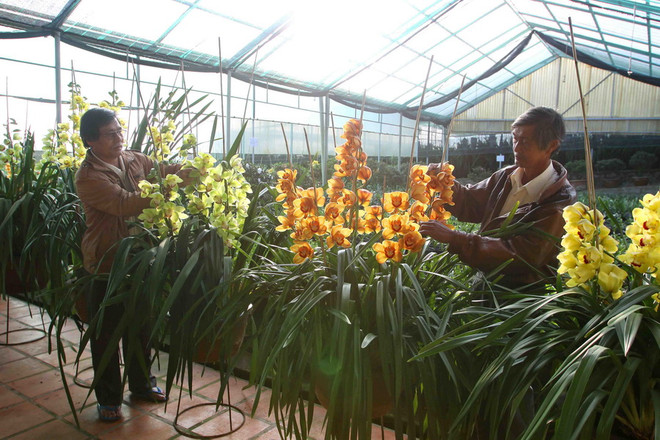 Lâm Đồng-Quảng Bình ký chương trình hợp tác phát triển du lịch ảnh 1