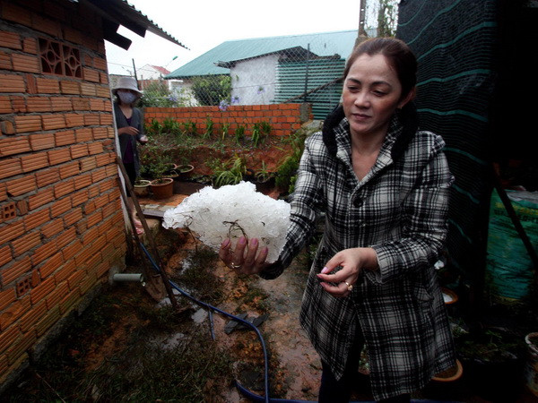Xảy ra trận mưa đá lớn nhất hàng chục năm qua tại Đắk Nông ảnh 1