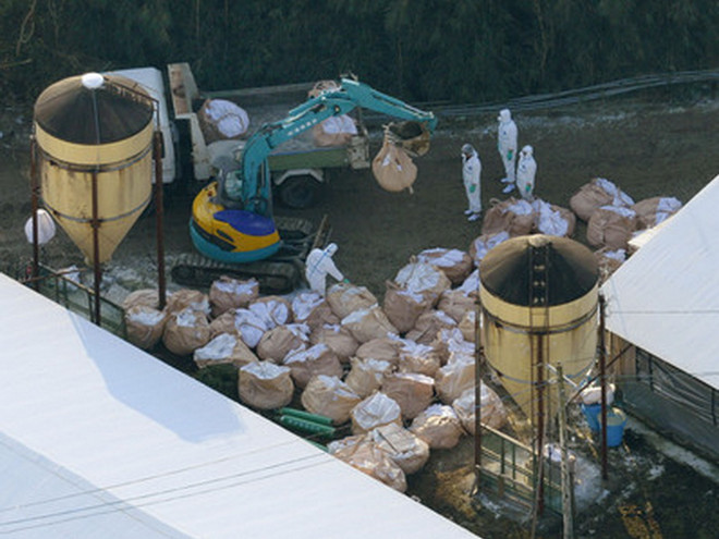 Nhật Bản xác nhận thêm ổ nhiễm cúm gia cầm mới ở tây nam ảnh 1