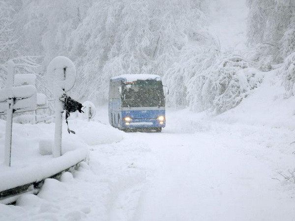 Bão tuyết hoành hành, giao thông tại miền Bắc Italy tê liệt ảnh 1