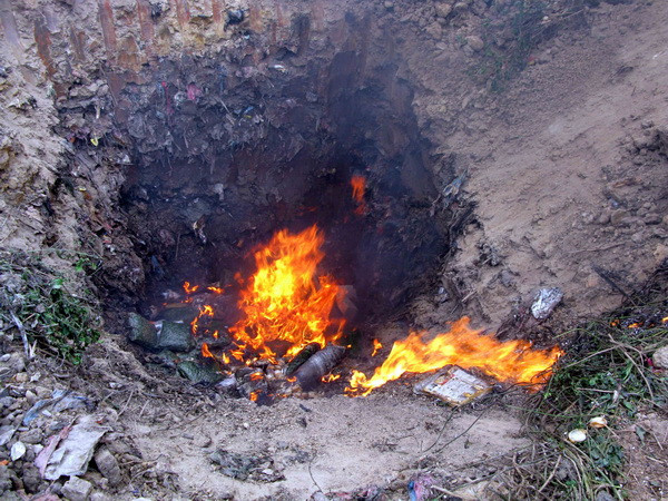 Bắc Giang tiêu hủy 220kg hàng đông lạnh không rõ nguồn gốc ảnh 1