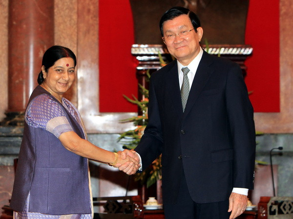 Hợp tác kinh tế - điểm sáng trong quan hệ Việt Nam-Ấn Độ ảnh 1