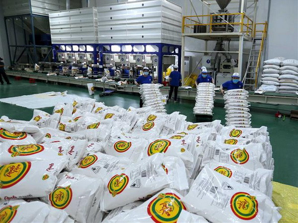 Xuất khẩu gạo được kỳ vọng sẽ sôi động hơn trong quý cuối năm ảnh 2