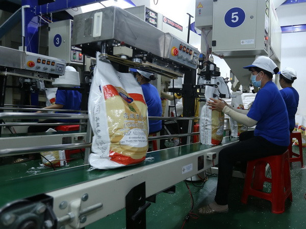 Xuất khẩu gạo được kỳ vọng sẽ sôi động hơn trong quý cuối năm ảnh 1