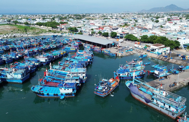Cảng cá Mỹ Tân, xã Thanh Hải, huyện Ninh Hải, tỉnh Ninh Thuận, được đầu tư đồng bộ đáp ứng yêu cầu phát triển kinh tế biển của địa phương. (Ảnh: Nguyễn Thành/TTXVN) ttxvn_huyen_ven_bien_ninh_hai_ninh_thuan_don_suc_xay_dung_nong_thon_moi_nang_cao_7036963.jpg