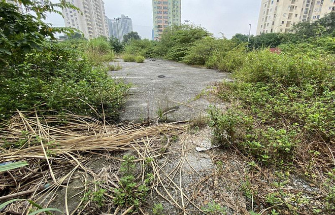 Thủ tướng yêu cầu kiểm tra thông tin hơn 300 dự án bỏ hoang tại Hà Nội ảnh 1