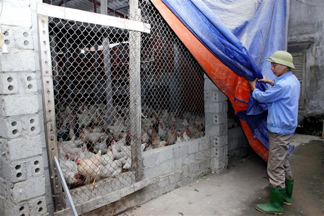 Không khí lạnh tràn về, vùng núi cao có nơi xuống dưới 5 độ C ảnh 1