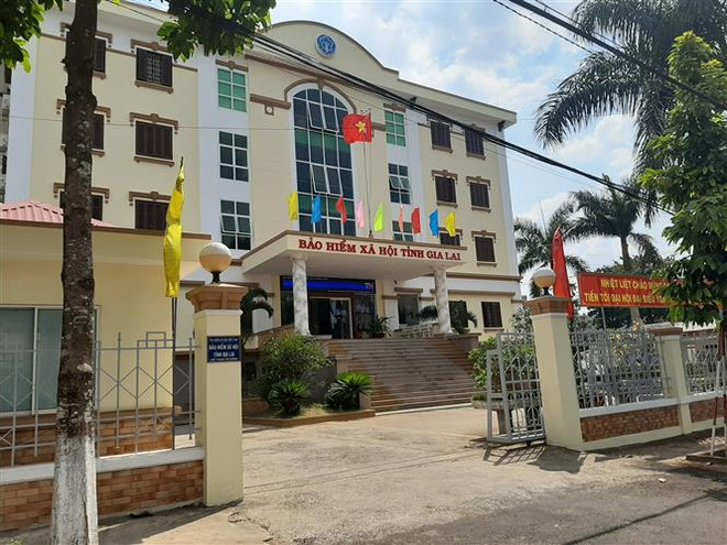 Gia Lai: Giải quyết gần 97 tỷ đồng BHXH một lần cho người lao động ảnh 1