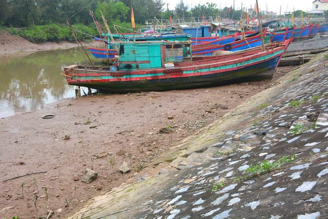 Quảng Trị đầu tư xây dựng, nâng cấp cơ sở dịch vụ hậu cần nghề cá ảnh 1
