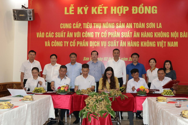 Sơn La quảng bá các nông sản an toàn trên các chuyến bay ảnh 1