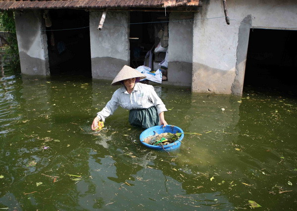 Hà Nội: Nước bẩn bao vây nhà dân, tiềm ẩn nguy cơ dịch bệnh ảnh 2