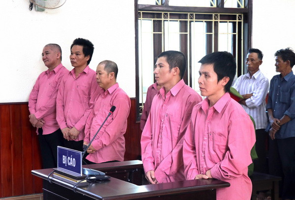 Trả hồ sơ để điều tra bổ sung vụ phá rừng quy mô lớn tại Bình Định ảnh 1