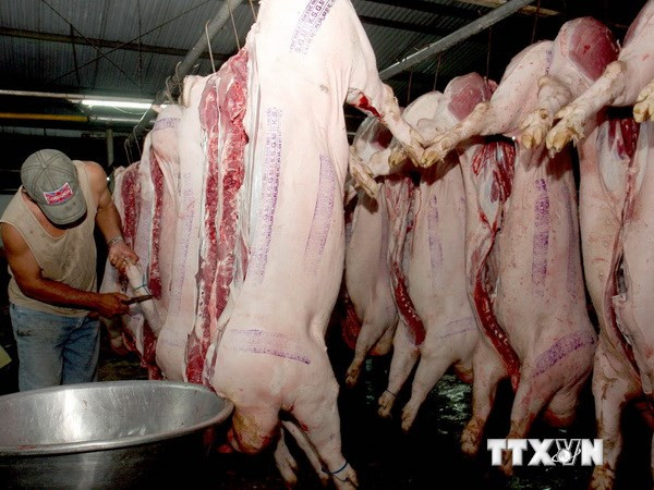 (Ảnh minh họa: Đình Huệ/TTXVN) Nhiều vướng mắc trong hệ thống giết mổ gia súc, gia cầm ảnh 1