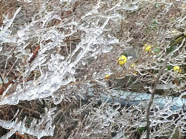 Giới thiệu hình ảnh và tiềm năng của Hà Giang tới bạn bè quốc tế ảnh 1