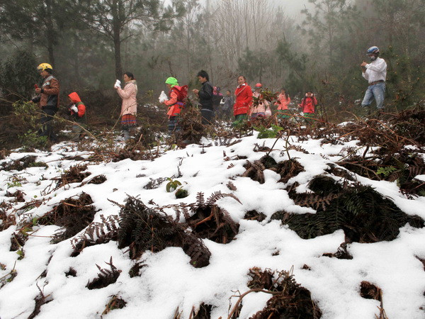 Tour du lịch ngắn ngày hấp dẫn khách dịp Tết Nguyên đán ảnh 1