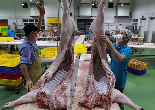 Tín hiệu đáng mừng cho các doanh nghiệp sản xuất thịt từ năm 2023 ảnh 1