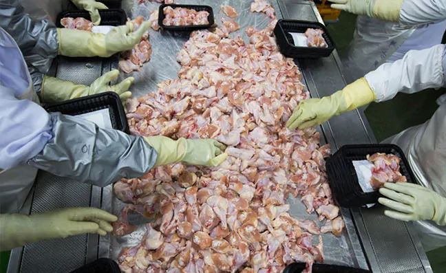 Trung Quốc phát hiện virus SARS-CoV-2 trên cánh gà nhập khẩu từ Brazil ảnh 1