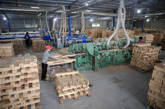 Kiến nghị đưa doanh nghiệp chế biến gỗ, lâm sản được gia hạn nộp thuế ảnh 1