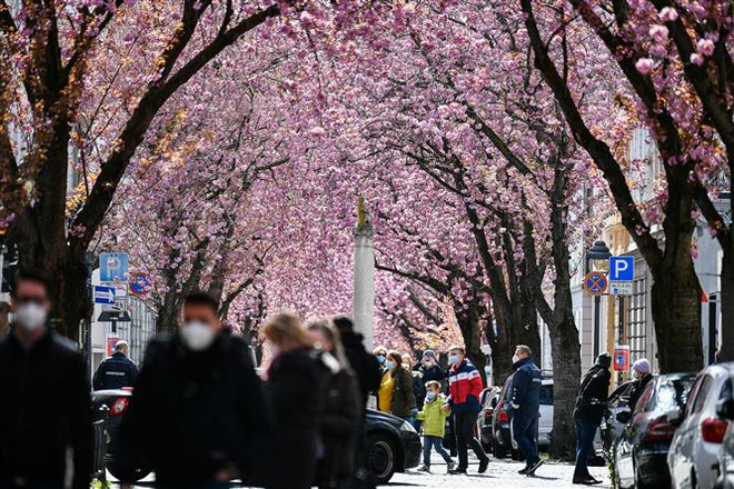 COVID-19 tại Đức: Số ca nhiễm giảm nhưng không vội nới lỏng hạn chế ảnh 1