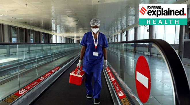 New Zealand cấm nhập cảnh đối với hành khách từ Ấn Độ ảnh 1