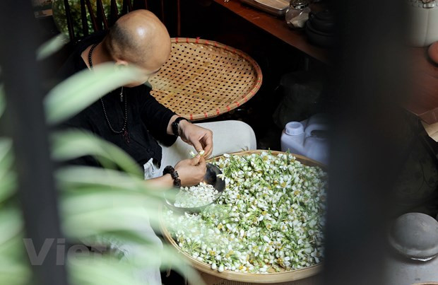 Nghệ nhân Hà Nội đang trong quá trình làm trà ướp hoa bưởi. (Ảnh: Xuân Mai/Vietnam+) Hà Nội biến văn hóa ẩm thực thành sản phẩm du lịch đặc sắc ảnh 1