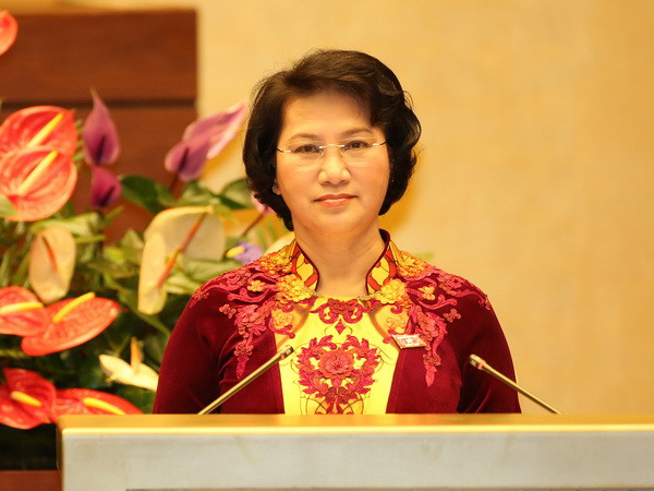 Phê chuẩn miễn nhiệm một số thành viên Hội đồng bầu cử quốc gia ảnh 1