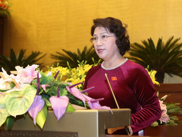 Trình Quốc hội phê chuẩn một số thành viên Hội đồng bầu cử quốc gia ảnh 1