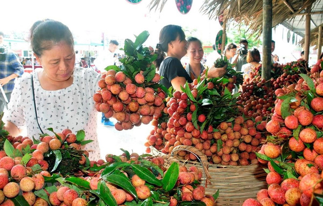Sản phẩm vải thiều được công nhận OCOP giới thiệu tại siêu thị. (Ảnh: Phương Anh/TTXVN) Bắc Giang thu gần 7.000 tỷ đồng từ vải thiều và các hoạt động phụ trợ ảnh 2