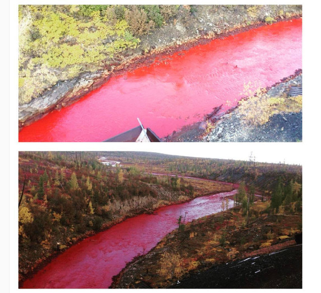 Cư dân kinh hãi vì nước sông bất ngờ đổi màu đỏ như máu ảnh 1