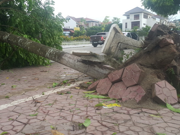 Tổng thiệt hại do dông lốc ở Lào Cai ước tính trên 7 tỷ đồng ảnh 1